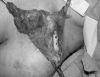 Figure 2)