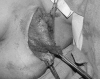 Figure 3)