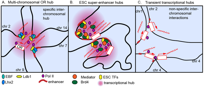 Figure 2: