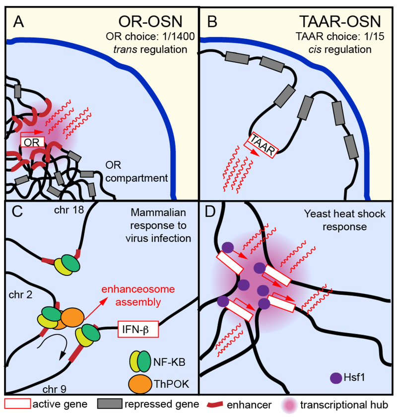 Figure 3: