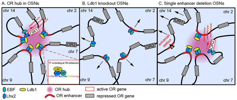 Figure 1: