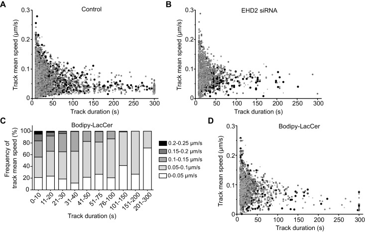 Figure 2—figure supplement 1.