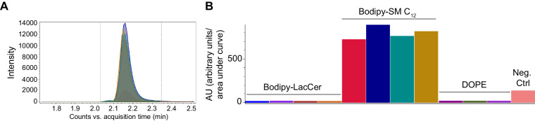 Figure 1—figure supplement 3.