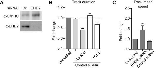 Figure 3—figure supplement 2.