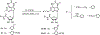 Scheme 4