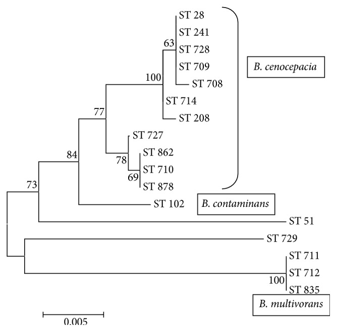 Figure 2