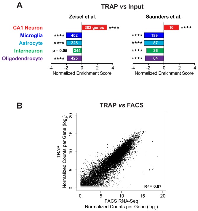 Figure 2—figure supplement 2.