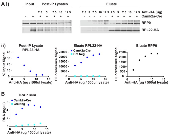 Figure 2—figure supplement 1.