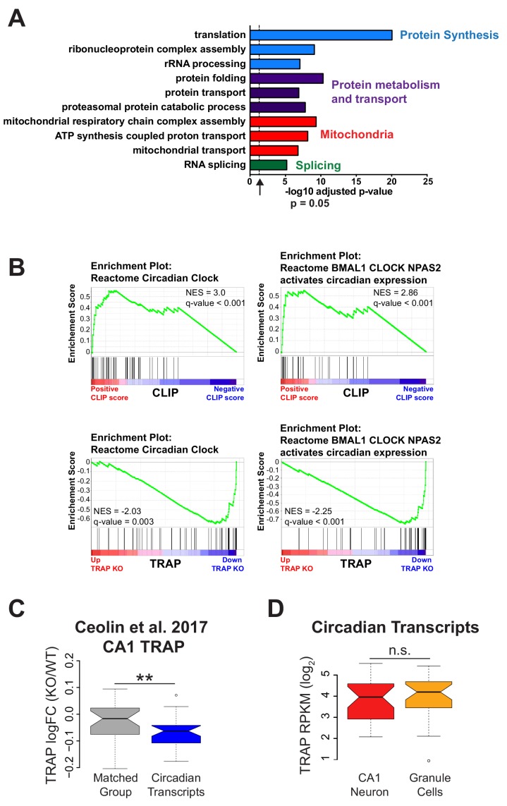 Figure 4—figure supplement 1.