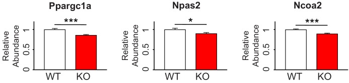 Figure 4—figure supplement 2.