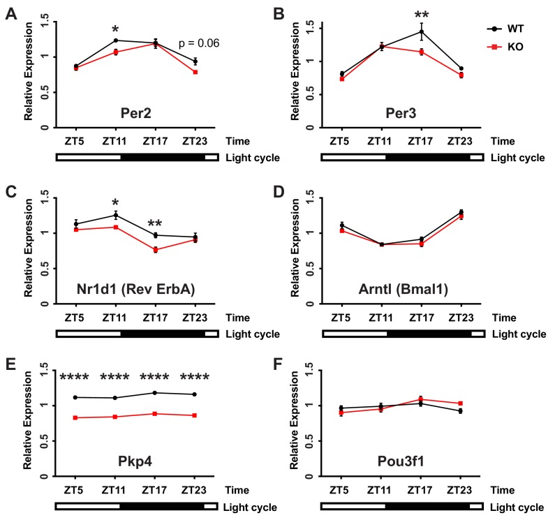 Figure 4—figure supplement 3.