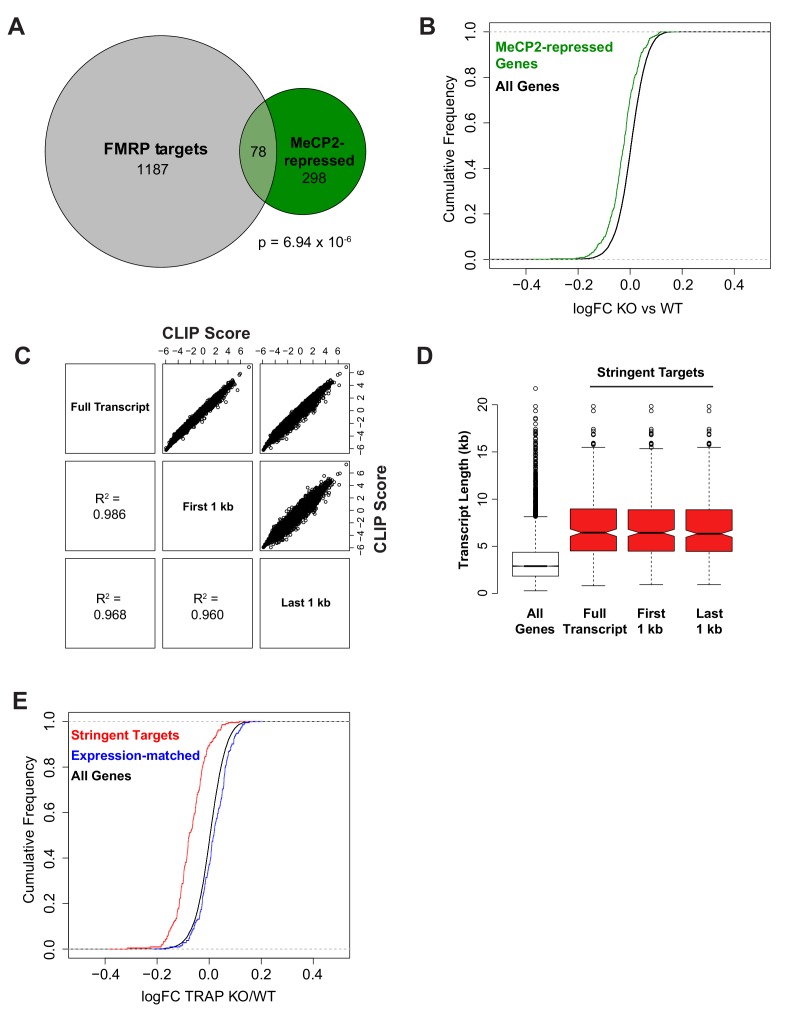 Figure 3—figure supplement 1.