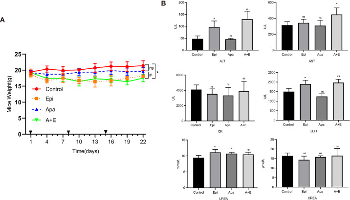 Figure 7