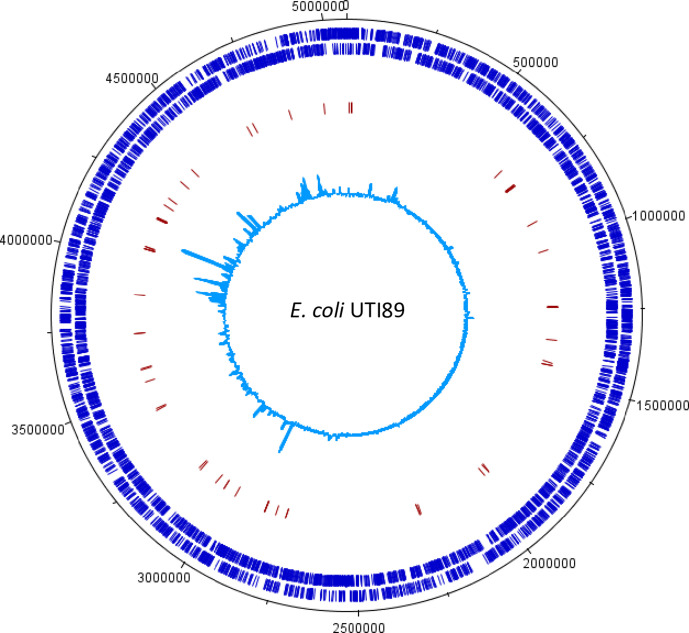 Fig. 2.