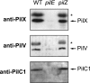 FIG. 7.