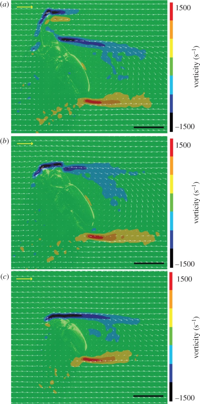 Figure 3.