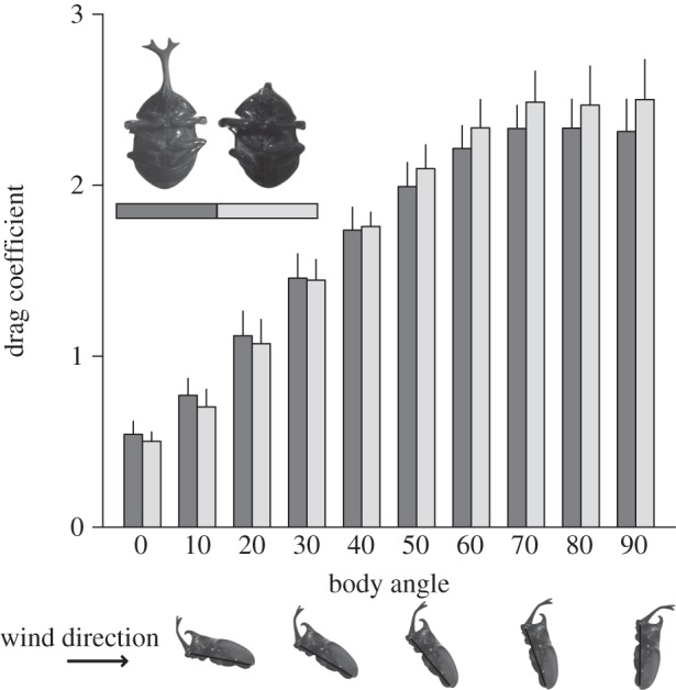 Figure 2.