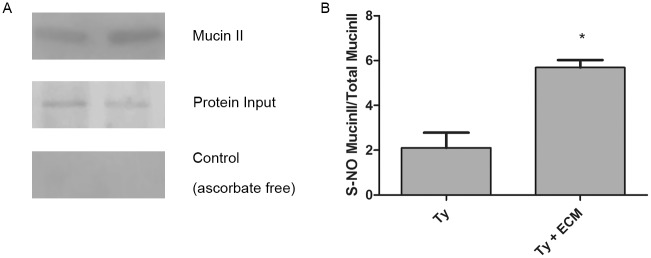 Fig 8