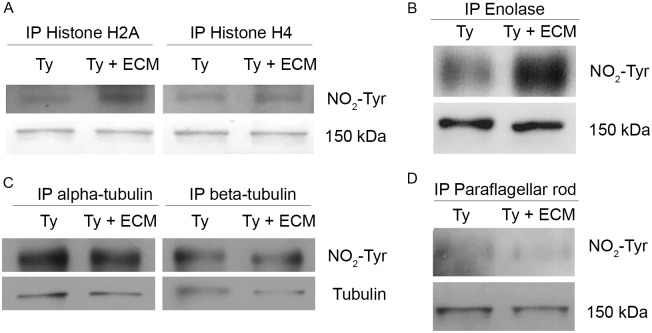 Fig 9