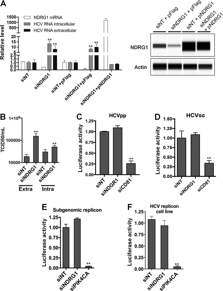 FIG 1