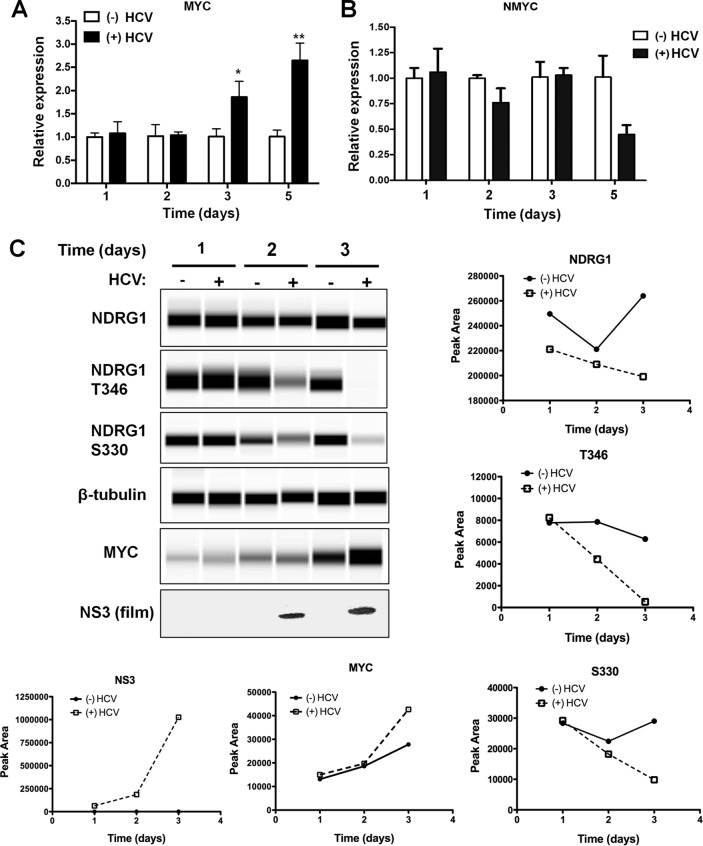 FIG 6