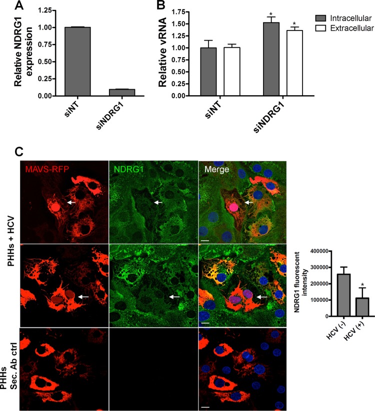 FIG 3