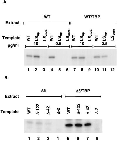 FIG. 5