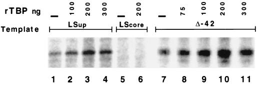 FIG. 6