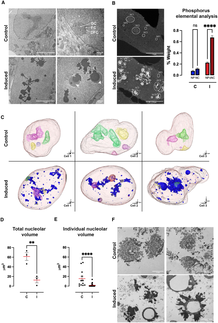 Figure 6