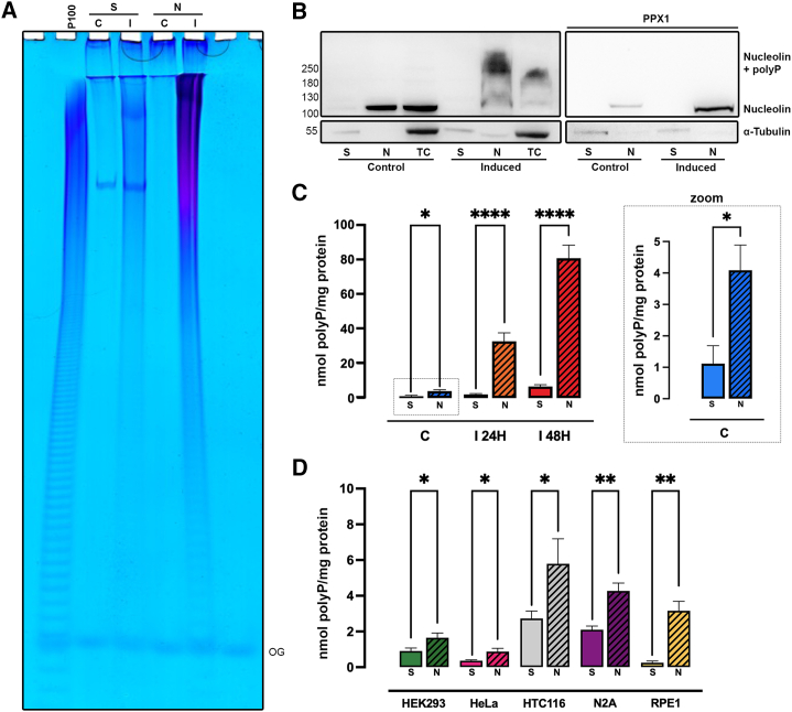 Figure 3