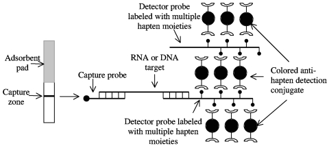 FIG. 1.