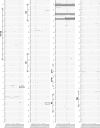 FIG. 9.