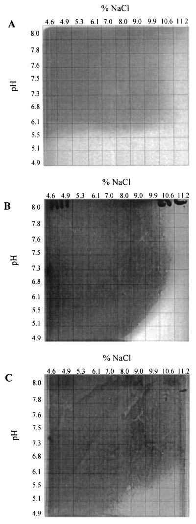 FIG. 6.