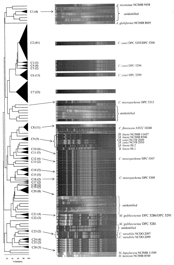 FIG. 5.