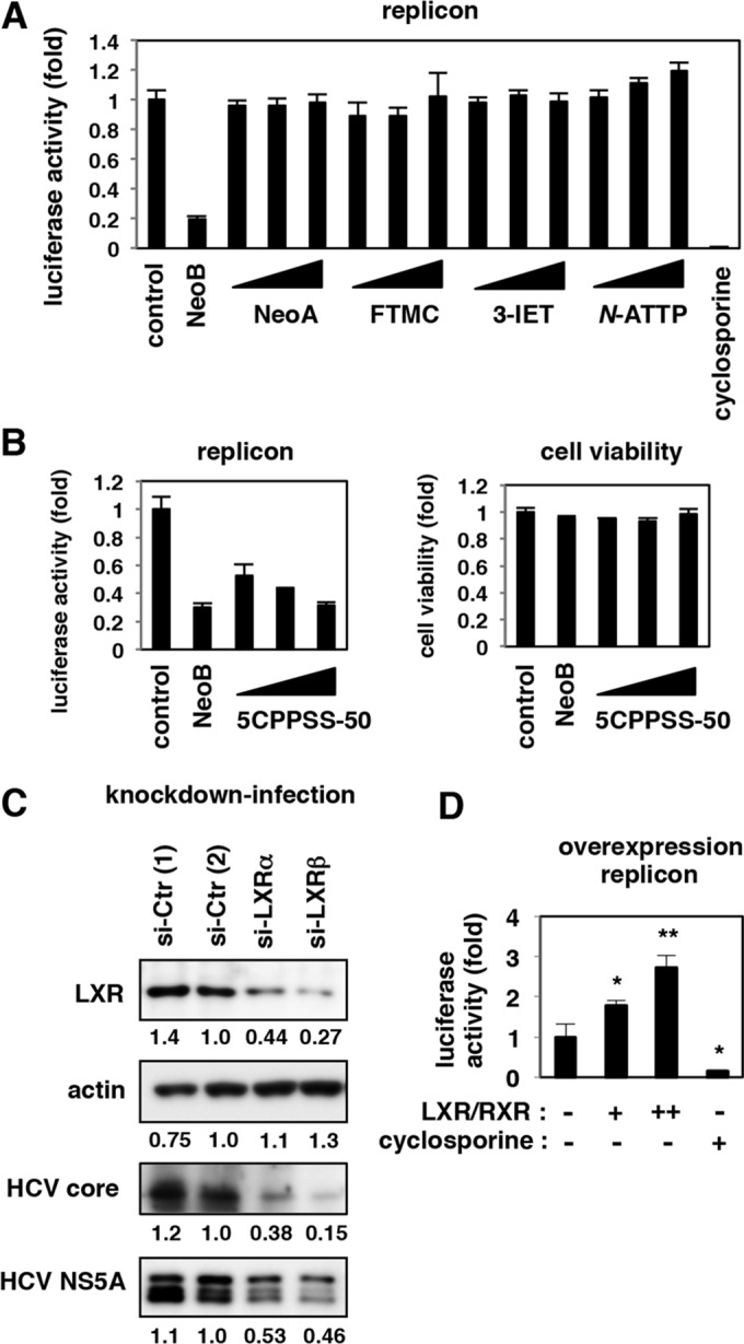 FIG 6