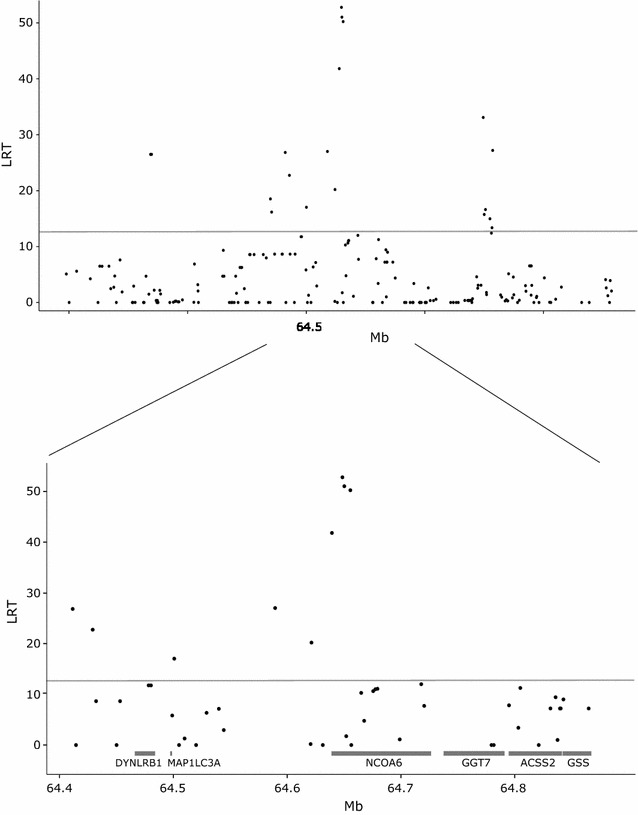 Fig. 2