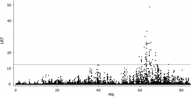 Fig. 1