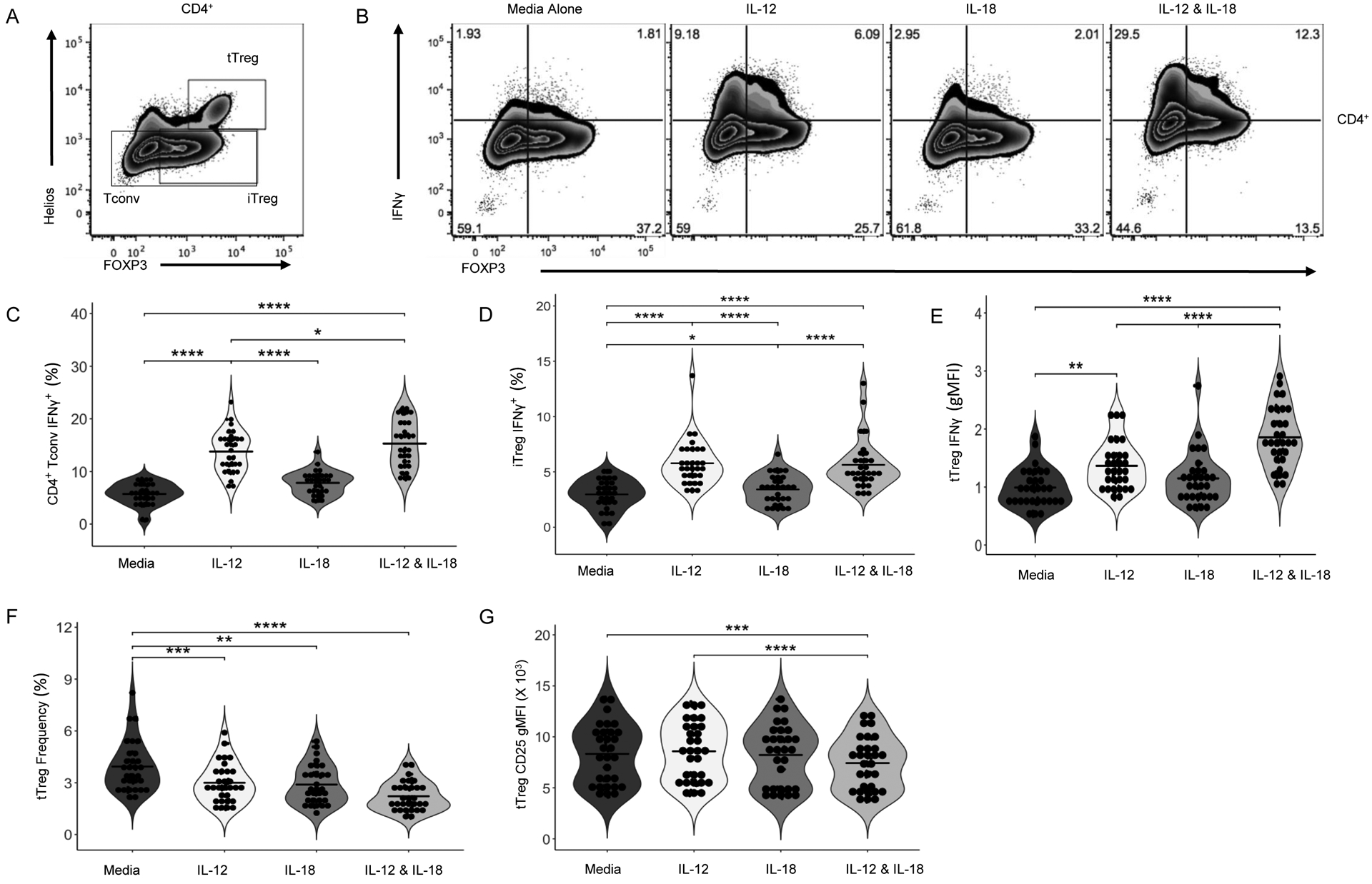 Figure 5: