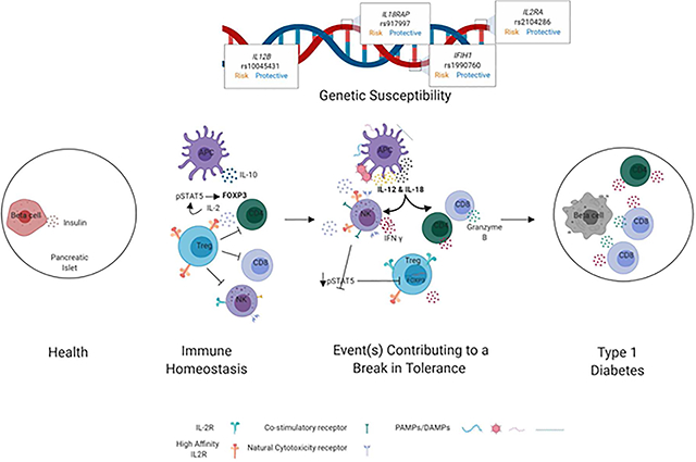 graphic file with name nihms-1568941-f0001.jpg