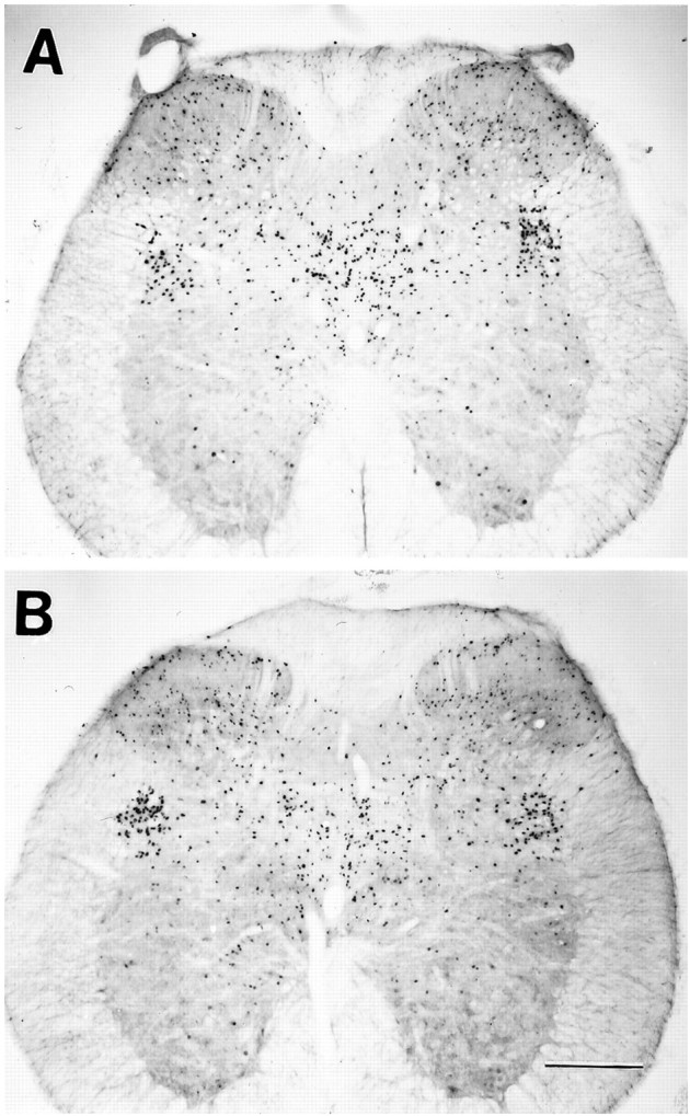 Fig. 10.