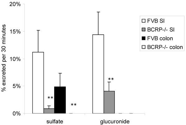 Figure 3b