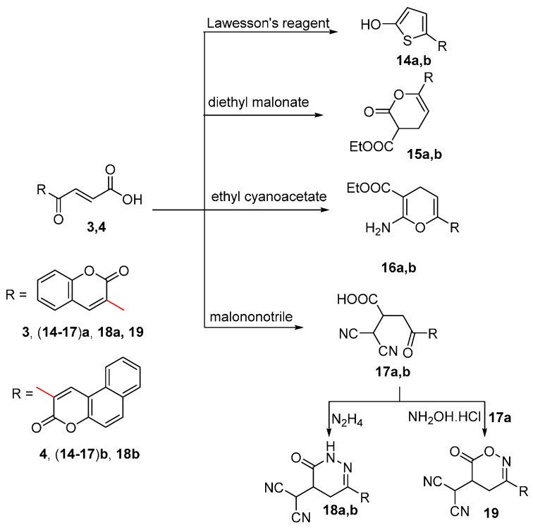 Scheme 5