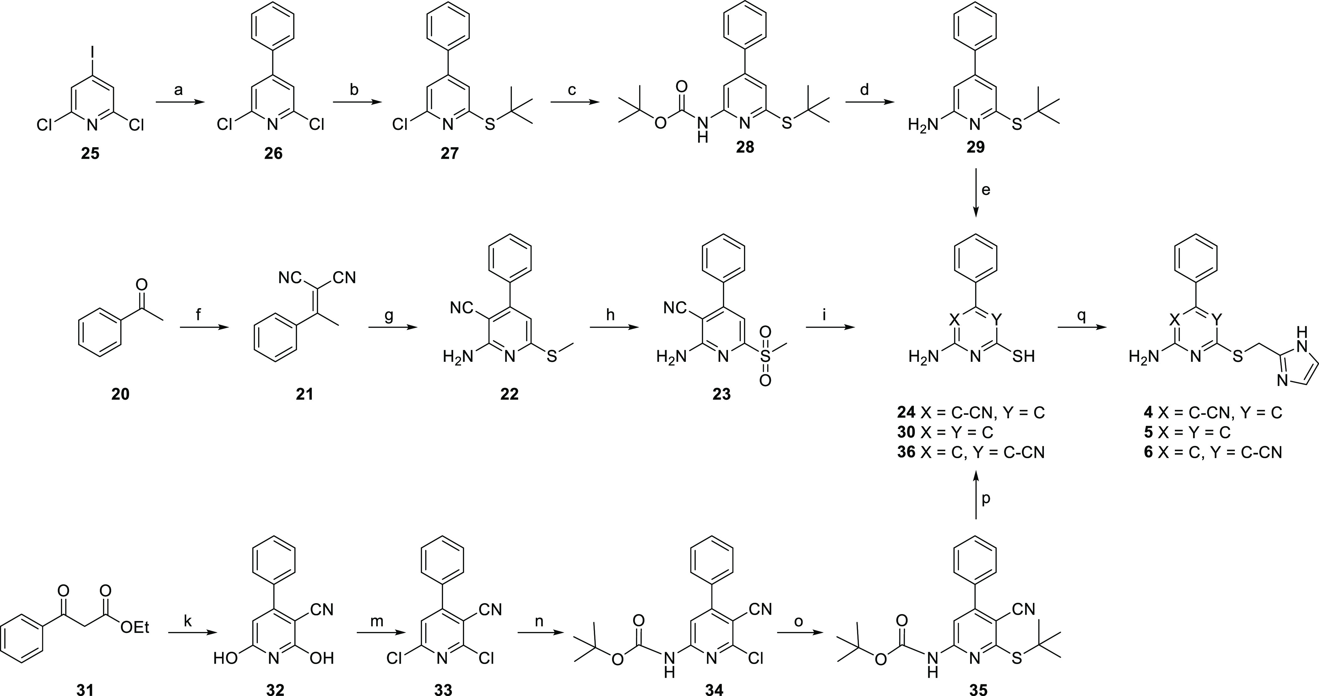 Scheme 2