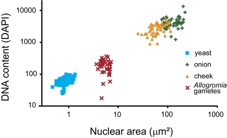 FIG. 2.—