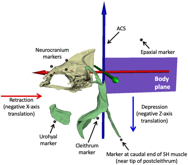 Fig. 3