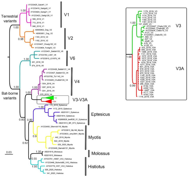 Figure 2