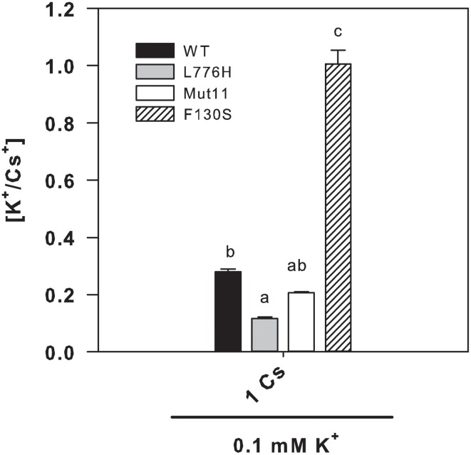 Figure 5