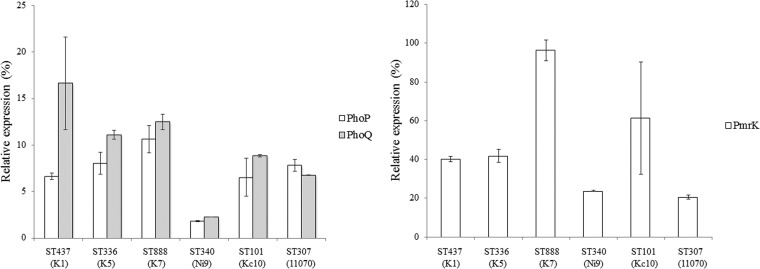 FIG 1