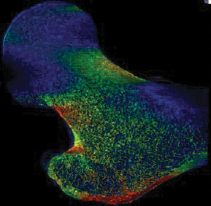 Figure 2f: