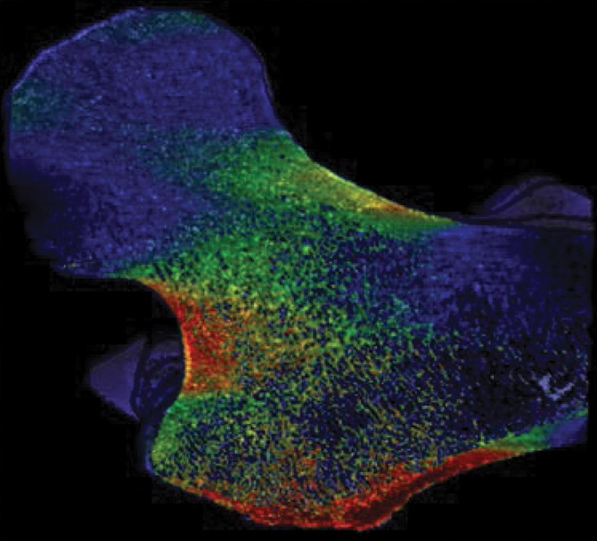 Figure 4d: